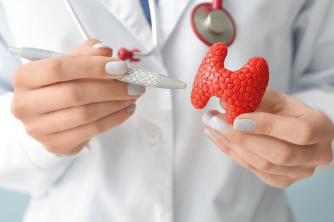 Эндокринологический чекап